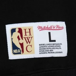 Mitchell & Ness Hoodies & Sweatshirts-Tonal Logo Heavyweight Fleece Toronto Raptors