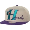 Mitchell & Ness Snapback-Top Letter Snapback Hwc Charlotte Hornets