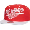 Mitchell & Ness Snapback-Transcript Snapback Vntg Detroit Red Wings