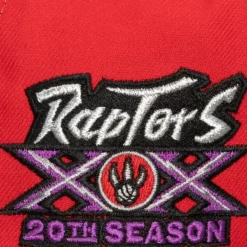 Mitchell & Ness Fitted-Tri Cycle Fitted Hat Toronto Raptors