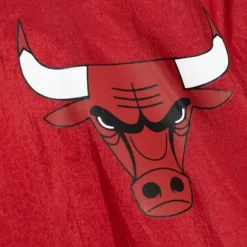 Mitchell & Ness Jackets & Outerwear-Undeniable Full Zip Windbreaker Chicago Bulls