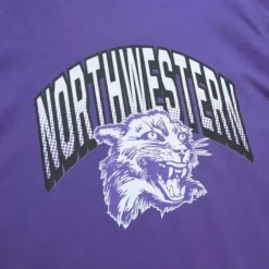 Mitchell & Ness T-Shirts & Tops-University Arch Logo Ls Tee Northwestern University