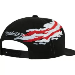 Mitchell & Ness Snapback-Vintage Paintbrush Snapback Detroit Red Wings