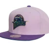 Mitchell & Ness Snapback-Violet Views Snapback Hwc Golden State Warriors