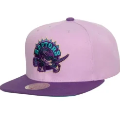 Mitchell & Ness Snapback-Violet Views Snapback Hwc Toronto Raptors