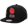 Mitchell & Ness Snapback-Water Tiger Snapback Hwc Toronto Raptors