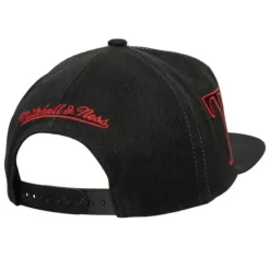 Mitchell & Ness Snapback-Winner Circle Snapback Toronto Raptors