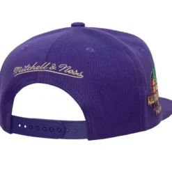 Mitchell & Ness Snapback-With Love Snapback Hwc Phoenix Suns