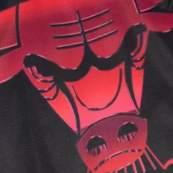 Mitchell & Ness T-Shirts & Tops-Womens Big Face 4.0 Crop Tank Chicago Bulls