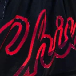 Mitchell & Ness Shorts-Womens Big Face 4.0 Shorts Chicago Bulls