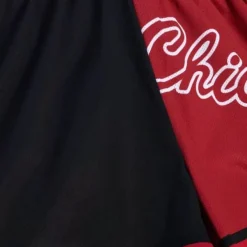 Mitchell & Ness Shorts-Womens Big Face Shorts 5.0 Chicago Bulls
