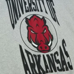 Mitchell & Ness Hoodies & Sweatshirts-Women'S Logo Lightweight Crew 3.0 University Of Arkansas