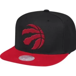 Mitchell & Ness Snapback-Wool 2 Tone Snapback Toronto Raptors